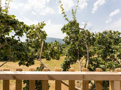 Holiday house Wohnung in Umbrien bei Bergen - Outdoor photo 34