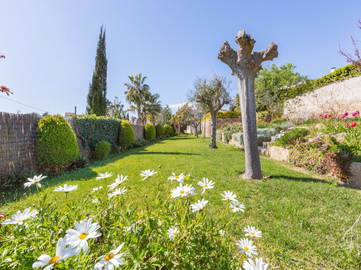 Villa Villa in Blanes mit privatem Pool - Outdoor photo 4