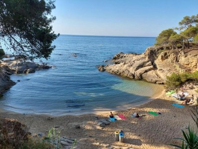 Villa Villa in Costa Brava with Sea View & Pool - Environment photo 29