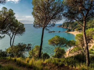 Villa Villa in Costa Brava with Private Pool - Environment photo 29