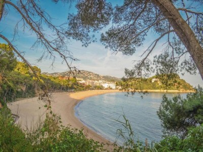 Villa Villa in Strandnähe in Lloret de Mar - Environment photo 38