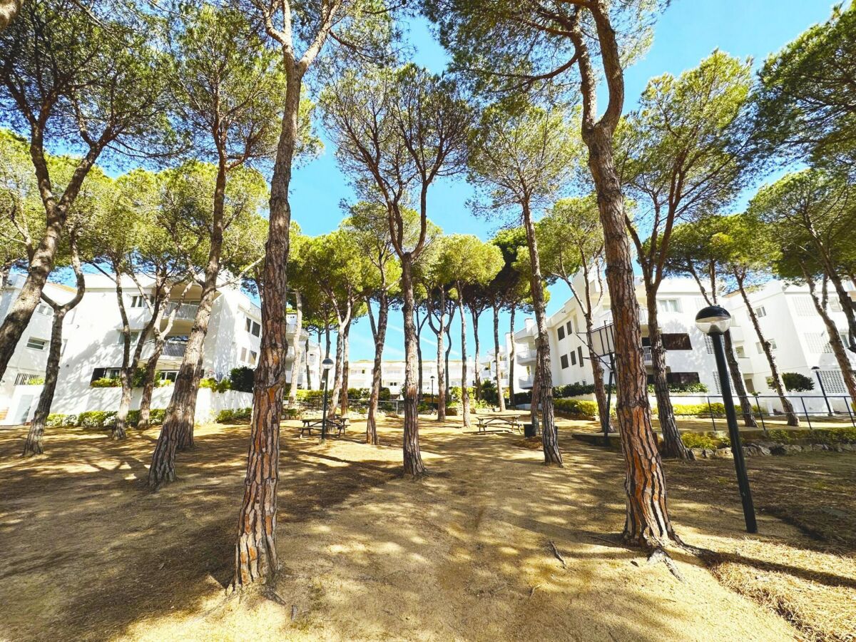 Apartment Apartment in Spain near Beaches & City Center - Outdoor photo 5