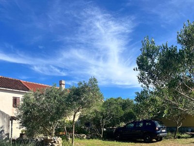 Apartment Two bedroom apartment with terrace and sea view Veli Rat, Dugi otok A-436-a - Outdoor photo 7