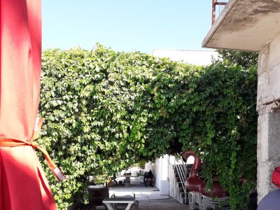 Apartment Two bedroom apartment near beach Podstrana, Split A-14993-b - Outdoor photo 7