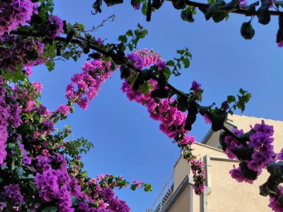 Apartment Two bedroom apartment near beach Podstrana, Split A-14993-b - Outdoor photo 8