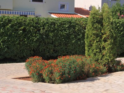 Apartment One bedroom apartment with terrace Valbandon, Fažana A-7304-a - Outdoor photo 9