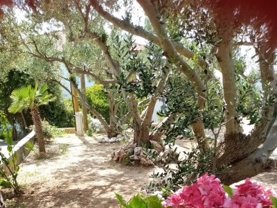 Apartment One bedroom apartment with terrace and sea view Lopar, Rab A-19896-a - Outdoor photo 9