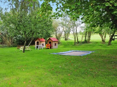 Holiday house Ferienhaus Löwenzahn im Müritz-Nationalpark - Outdoor photo 2