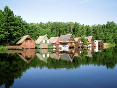 Holiday house Ferienhaus Löwenzahn im Müritz-Nationalpark - Environment photo 34