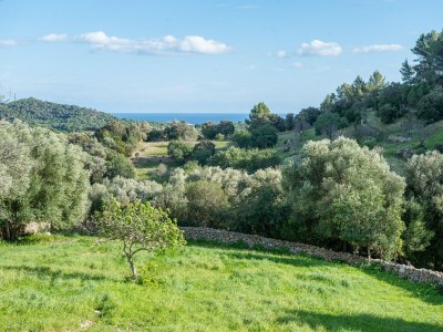 Holiday house Son EsquerrÀ - Country House In Felanitx - Environment photo 37