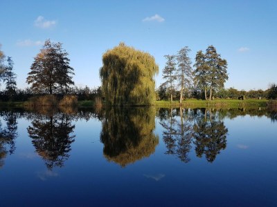 Holiday house Gemütlicher Campingplatz am See in Kesteren - Environment photo 8