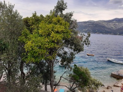 Apartment One bedroom apartment near beach Tri Žala, Korčula A-556-b - Outdoor photo 7