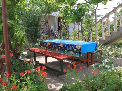 Apartment Studio flat with terrace and sea view Tkon, Pašman AS-8218-b - Outdoor photo 9