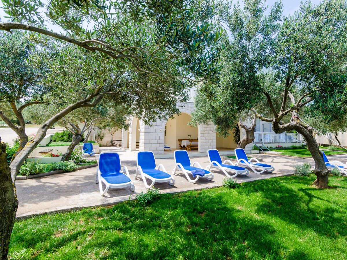 Apartment Studio flat near beach Drače, Pelješac AS-4529-a - Outdoor photo 4