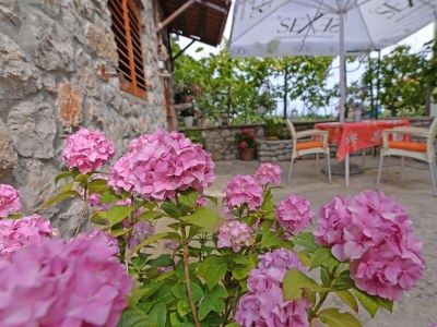 Apartment Studio flat with terrace Veli Lošinj, Lošinj AS-21185-b - Outdoor photo 7