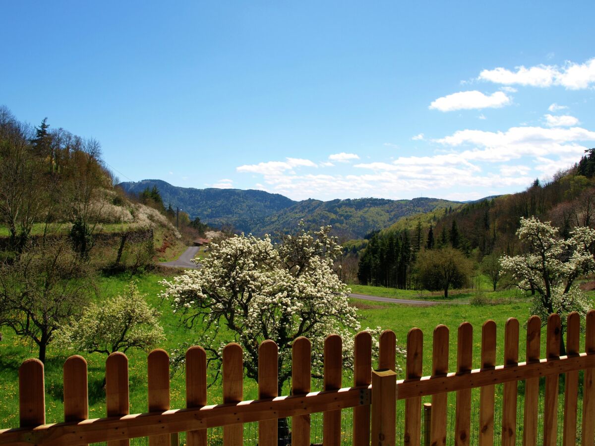 Holiday house Gemütlicher Landurlaub in der Auvergne - Outdoor photo 2