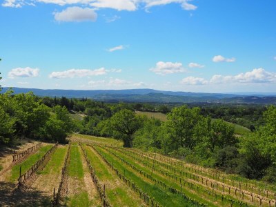 Holiday house Holiday Home in Provence near Mont Ventoux - Outdoor photo 6