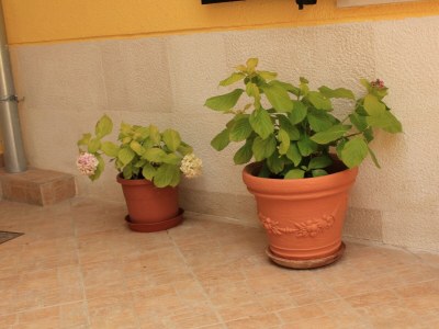 Apartment One bedroom apartment with terrace and sea view Kukljica, Ugljan A-8209-b - Outdoor photo 7