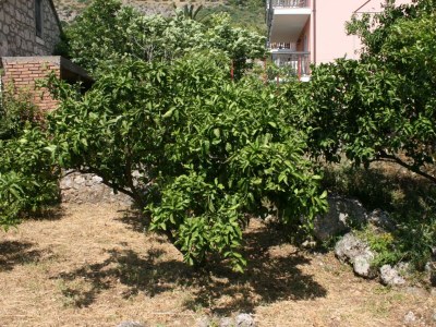 Apartment Studio flat with terrace and sea view Podaca, Makarska AS-6874-c - Outdoor photo 7