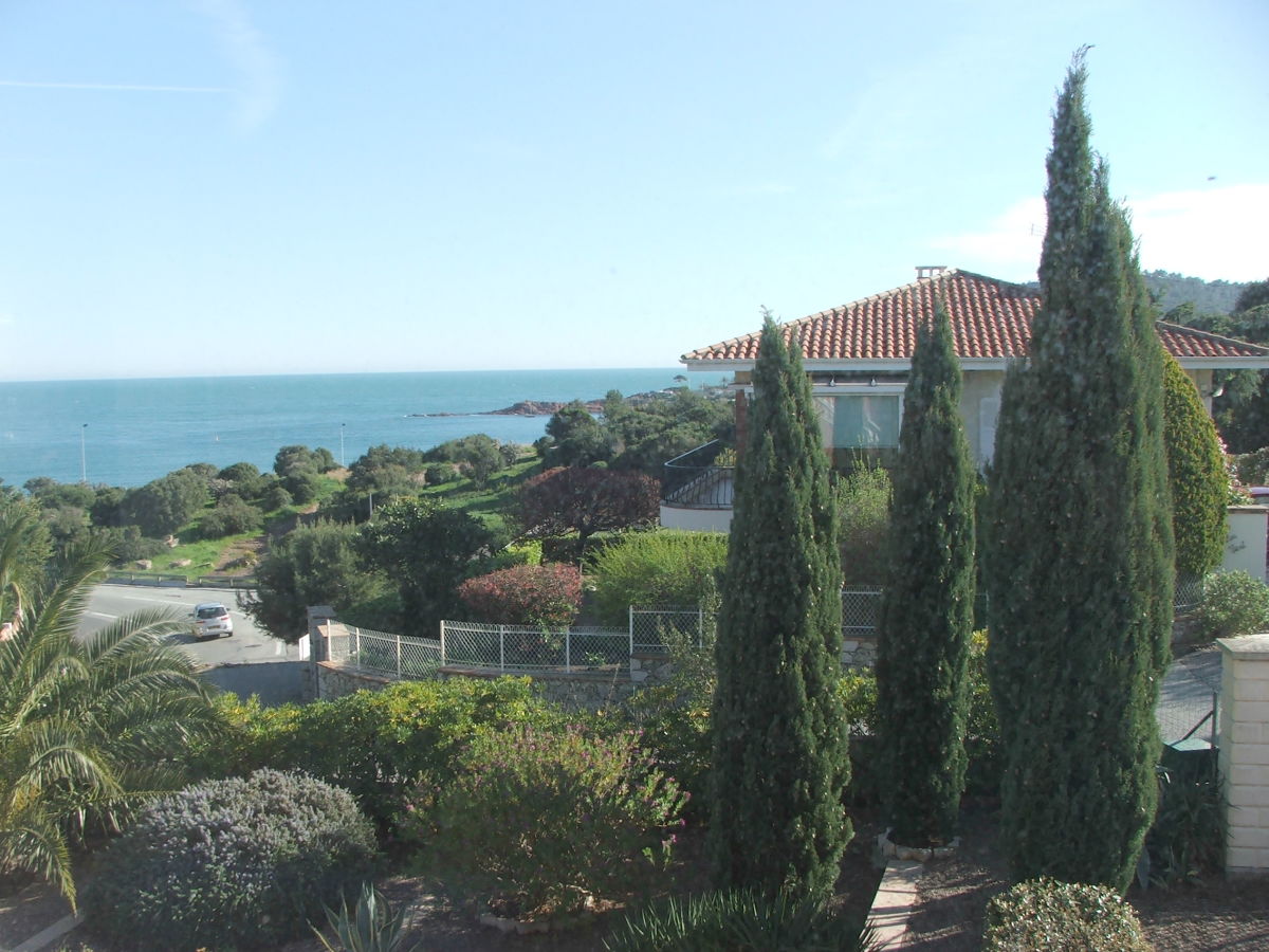 Holiday apartment Mimosa - Outdoor photo 4
