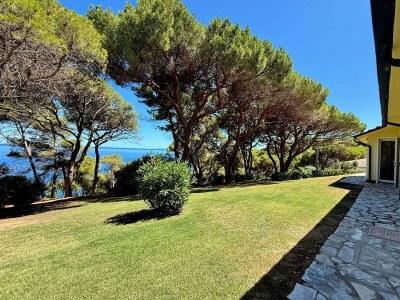 Villa Villa Star Isola d'Elba - Environment photo 36
