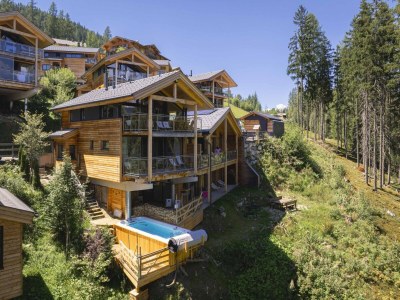 Holiday park Schönes Chalet mit finnischer Sauna in Pichl - Holiday park