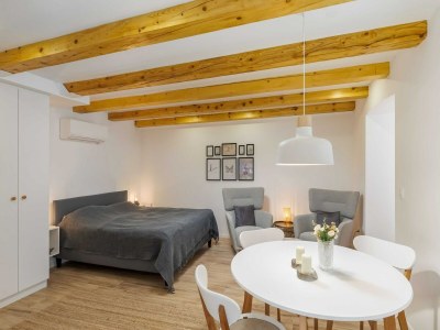 Apartment Apartments Odin - Studio Apartment - 1 - Features photo 15