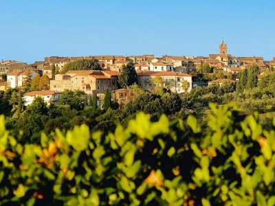 Holiday park Villa in Montaione with Pool & Wine Tasting - Outdoor photo 6