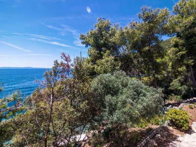 Apartment Two bedroom apartment near beach Cove Torac, Hvar A-575-b - Outdoor photo 14