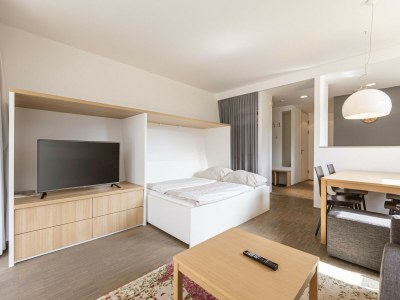 Holiday park Apartment near Ski slope - Features photo 18