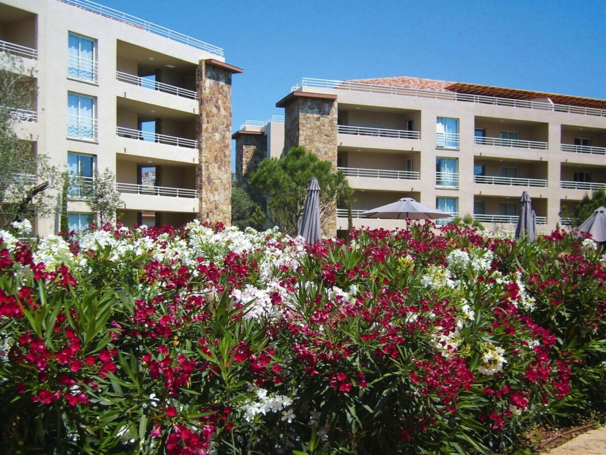 Holiday park Apartment in Corsica near Palombaggia Beach