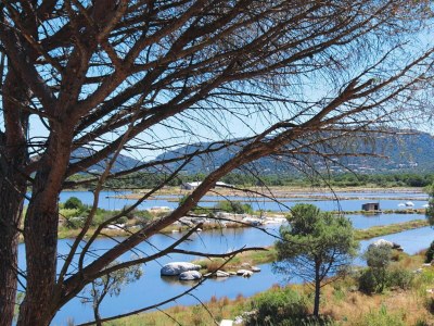 Holiday park Wohnung in Korsika nahe Palombaggia Strand - Outdoor photo 25