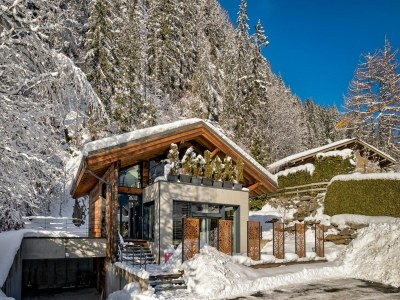 Chalet Luxury Chalet near Les Gaillands Lakes - Outdoor photo 5