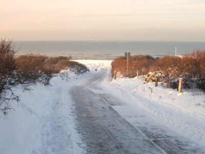 Bungalow Small-Duinoord : Populier - Environment photo 21