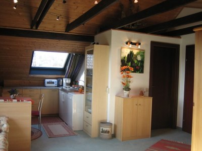 Holiday apartment Studio Apartment HA-WEI in WIEN - Holiday apartment