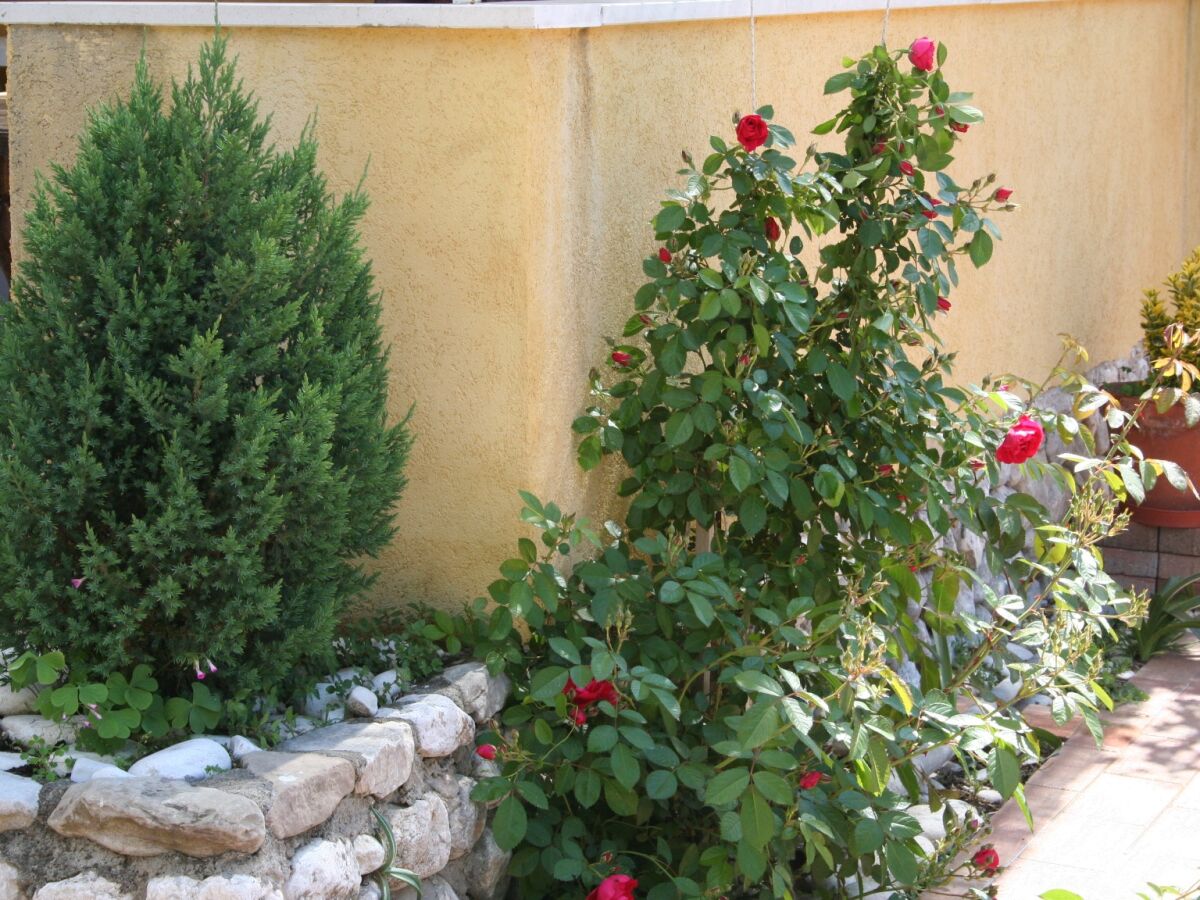 Apartment Studio flat near beach Promajna, Makarska AS-2674-a - Outdoor photo 4
