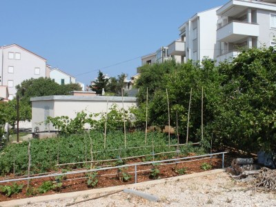 Apartment Three bedroom apartment with terrace and sea view Novalja, Pag A-6341-c - Outdoor photo 11