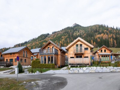 Chalet Chalet in Hohentauern in the ski area - Environment photo 35