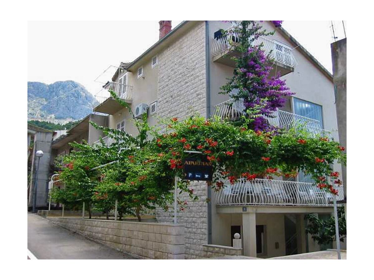 Apartment Two bedroom apartment with balcony and sea view Podgora, Makarska A-316-c
