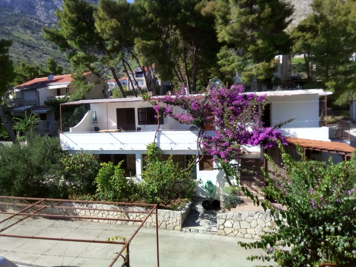 Apartment Two bedroom apartment with terrace Ivan Dolac, Hvar A-18269-b - Outdoor photo 2