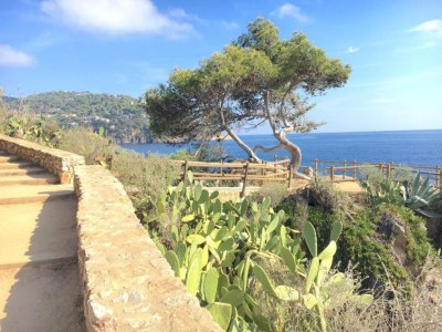 Apartment Apartment in Llafranc near Beach & City Center - Environment photo 13