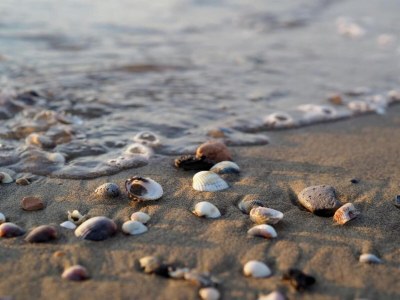 Villa Holiday Home in Caorle near Spiaggia Tartaruga - Environment photo 13