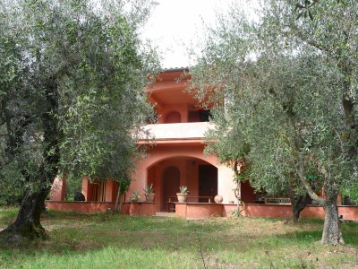 Holiday apartment Oliveto - Outdoor photo 2