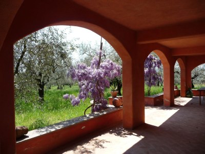 Holiday apartment Oliveto - Outdoor photo 3