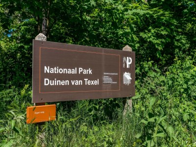 Villa Villa in Texel near Beach and Nature Reserve - Outdoor photo 20