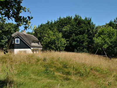 Cottage Luxury villa by the dunes - Outdoor photo 4