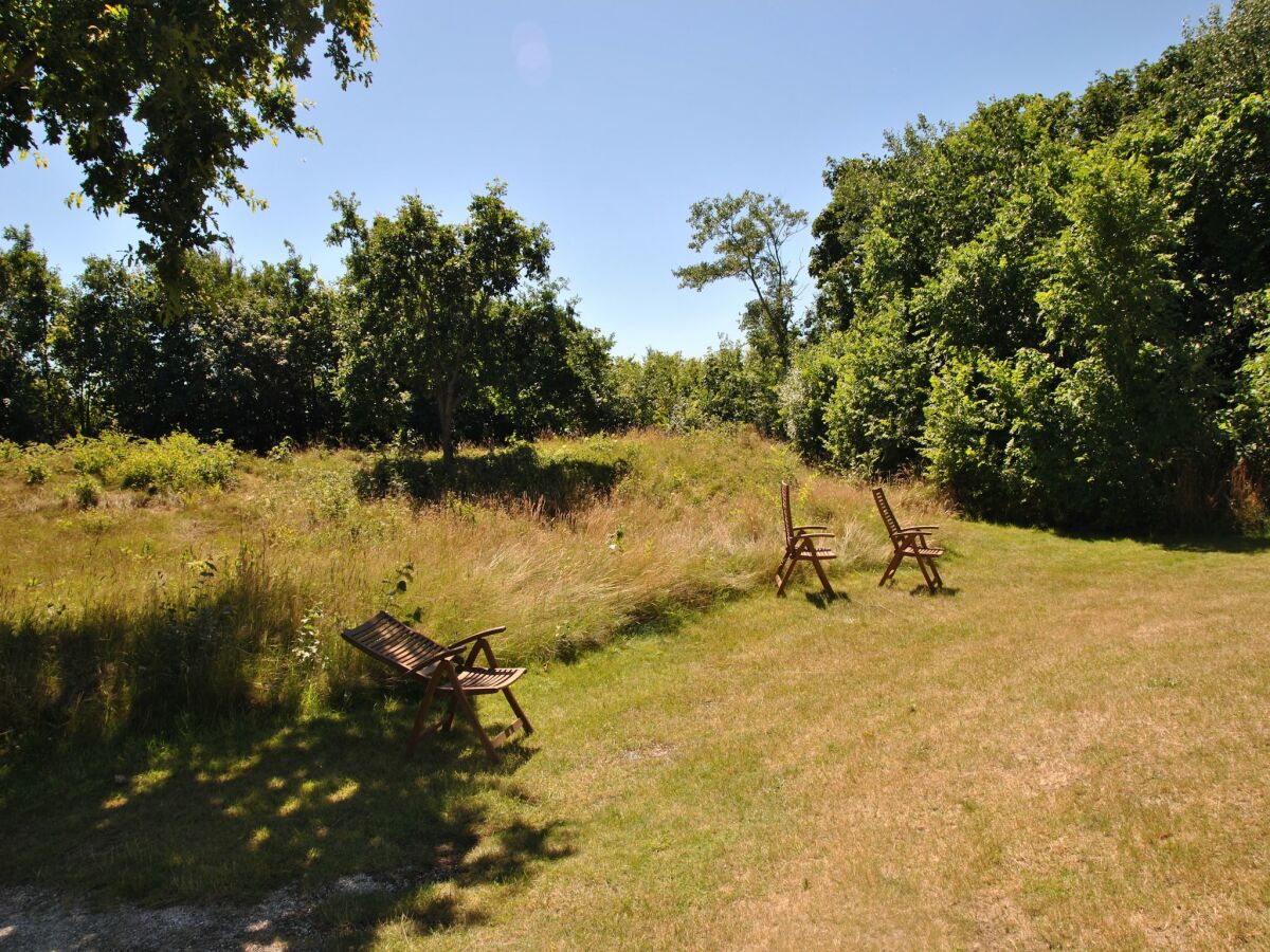 Cottage Herrenhaus in De Cocksdorp - Outdoor photo 5