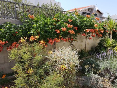 Apartment Two bedroom apartment near beach Sevid, Trogir A-4286-d - Outdoor photo 15