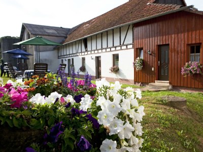 Apartment Ferienwohnung Feld-Wald-Wiese in Erbach/Odw. - Apartment