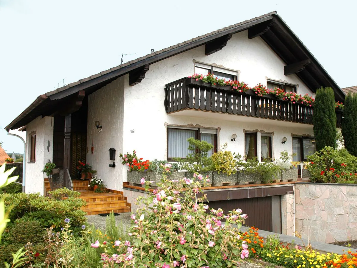 Apartment Gästehaus Braun, Ferienwohnung 1